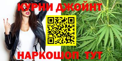 крисы Лесосибирск