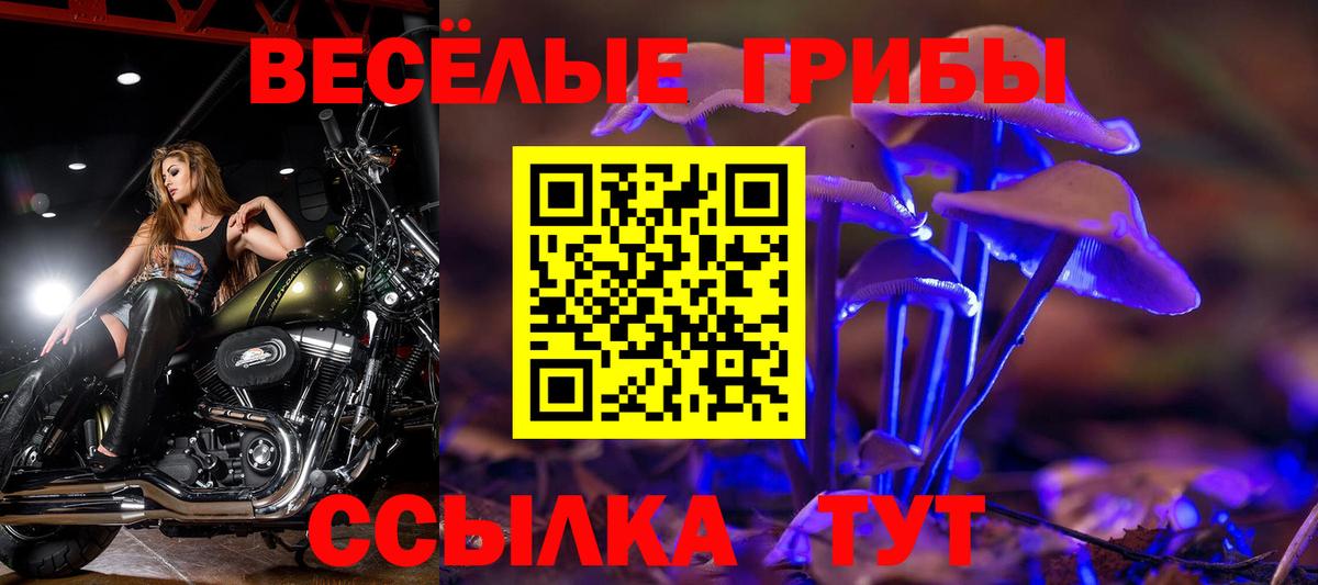 Псилоцибиновые грибы мицелий  Вход с VPN  Зерноград 