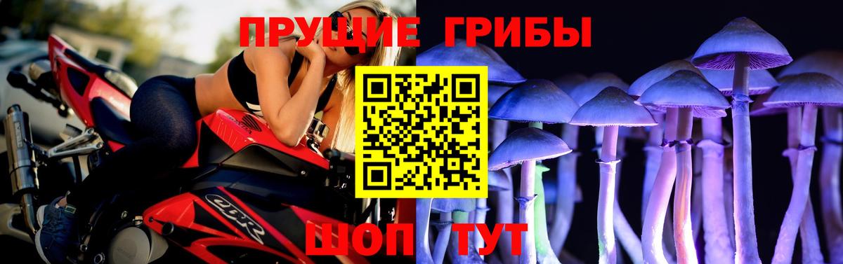 Галлюциногенные грибы Psilocybe Зерноград
